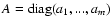 $A = {\rm diag}(a_1,...,a_m)$