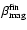 $\beta _{{\rm mag}}^{{\rm fin}}$