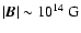 $\vert\vec B\vert \sim
10^{14}~{\rm G}$