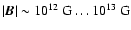 $\vert\vec B\vert \sim 10^{12}~{\rm G} \ldots 10^{13}~{\rm G}$