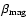 $\beta _{{\rm mag}}$