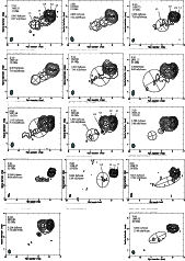 \begin{figure}
\par\includegraphics[width=14.75cm,clip]{4017fig2.eps}\end{figure}
