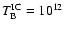 $T_{\rm B}^{\rm IC}=10^{12}$