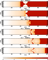 \begin{figure}
\par\includegraphics
[bb=330 100 518 662, trim=50 0 33 0, angle=...
... 518 662, trim=0 0 33 0, angle=90,width=8.8cm,clip]
{4094_8f.eps}
\end{figure}
