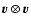 $\vec{v}\otimes\vec{v}$