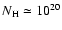 $N_{\rm H} \simeq 10^{20}$