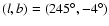 $(l,b)=(245^{\circ},-4^{\circ})$