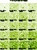\begin{figure}
\par\includegraphics[width=6.6cm,clip]{4446f04.ps} \end{figure}