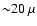 ${\sim} 20~\mu$