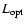 $L_{\rm opt}$