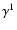 $\gamma ^{1}$