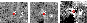 \begin{figure}
\par\hbox to \columnwidth{
{\includegraphics[width=2.5cm]{4352fig...
...m]{4352fig2b.ps} }
{\includegraphics[width=2.5cm]{4352fig2c.ps} }
}
\end{figure}