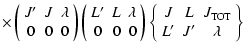 $\displaystyle \times
\left(
\begin{array}{ccc}
J' & J & \lambda \\
0 & 0 & 0
\...
...begin{array}{ccc}
J & L & J_{\rm TOT} \\
L' & J' & \lambda
\end{array}\right\}$