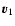 $\vec{v}_1$
