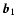 $\vec{b}_1$