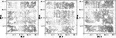 \begin{figure}
\par\includegraphics[width=4.9cm,height=4.8cm,clip]{4479F2.ps}\in...
...cm]{4479F3.ps}\includegraphics[width=4.9cm,height=4.8cm]{4479F4.ps}
\end{figure}
