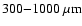 $300{-}1000~\mu{\rm m}$