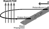 \begin{figure}
\par\includegraphics[width=8.8cm,clip]{4074F1.eps} \end{figure}