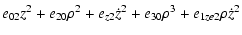 $\displaystyle e_{02} z^2 + e_{20} \rho^2 + e_{z2} \dot z^2 + e_{30} \rho^3
+ e_{1ze2} \rho \dot z^2$