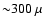 ${\sim} 300~\mu$