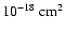 $10^{-18}~{\rm cm}^2$
