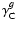 $\gamma_{\rm C}^g$