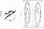 \begin{figure}
\par\includegraphics[width=13.5cm,clip]{0672f3.eps}
\end{figure}