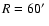 $R=60\hbox{$^\prime$ }$