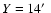 $Y= 14\hbox {$^\prime $ }$