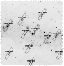 \begin{figure}
\par {\includegraphics[width=8cm,clip]{2891f4.eps} }\end{figure}