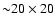 ${\sim}20\times20$