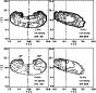 \begin{figure}
\par\includegraphics[width=7.7cm,clip]{4665fig9.eps} \end{figure}