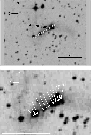 \begin{figure}
\par\includegraphics[width=8cm,clip]{2723ar10.ps}\par\vspace*{2mm}
\includegraphics[width=8cm,clip]{2723fig1.ps}
\end{figure}