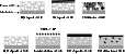 \begin{figure}
\par\includegraphics[width=10cm,clip]{2382f5.eps} \end{figure}