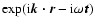 $\exp({\rm i}\vec{k\cdot r}-{\rm i}\omega \vec{t})$