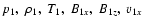 $p_1 , ~\rho_{1},~ T_1,~ B_{1x},~ B_{1z}, ~ v_{1x}$