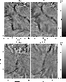 \begin{figure}
\par\includegraphics[width=8.3cm,clip]{4471fig12.ps}\par\vspace*{1mm}
\includegraphics[width=8.3cm,clip]{4471fig13.ps}\end{figure}