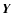 $\vec{Y}$