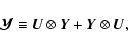 \begin{displaymath}%
{\vec{\cal Y}}\equiv \vec{U}\otimes \vec{Y} + \vec{Y}\otimes\vec{U},
\end{displaymath}