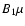 $B_1\mu$