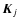 $\vec{K}_j$