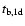 $t_{\rm b,1d}$