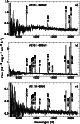 \begin{figure}
\par\includegraphics[width=7cm,clip]{5100fig3.eps}\end{figure}