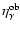 $\eta^{\rm ob}_{\gamma} $