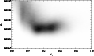 \begin{figure}
\par\includegraphics[width=8.2cm,clip]{2474f10.eps}
\end{figure}