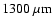 $1300~\mu\mbox{m}$