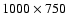 $1000 \times 750$
