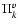 $\Pi_{k}^v$