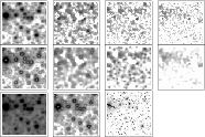 \begin{figure}
\par\begin{tabular}{cccc}
\fbox{\includegraphics[width=3.5cm]{500...
...fbox{\includegraphics[width=3.5cm]{5004f17.eps}} & \\
\end{tabular}\end{figure}