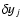 $\delta y_j$